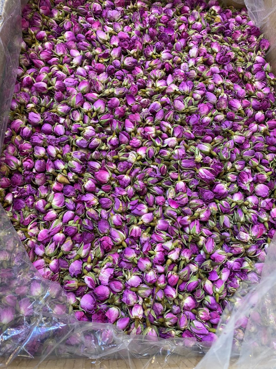 گل،غنچه