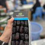 date,خرما